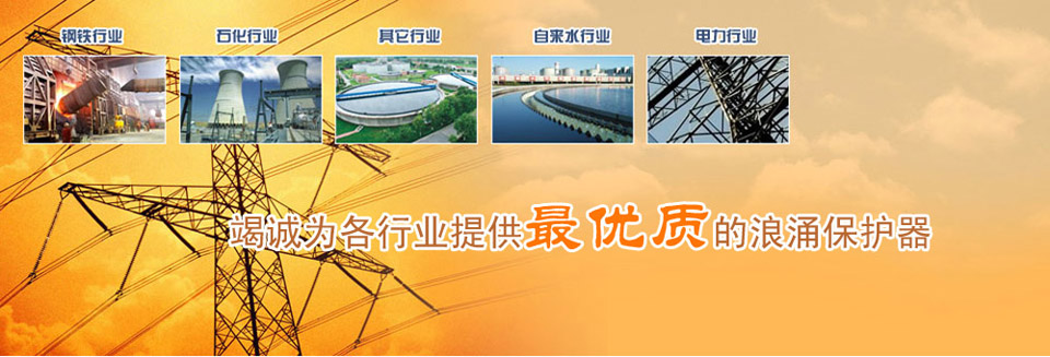 14年大型防雷工程專(zhuān)業(yè)配套經(jīng)驗(yàn)